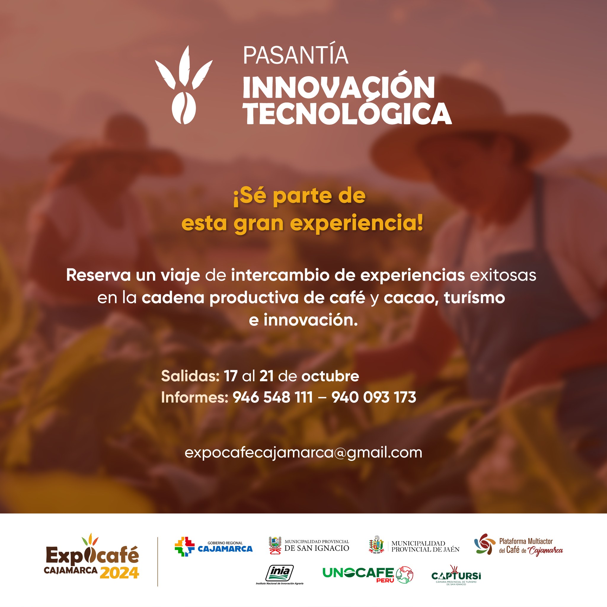 Pasantía Innovación Tecnológica